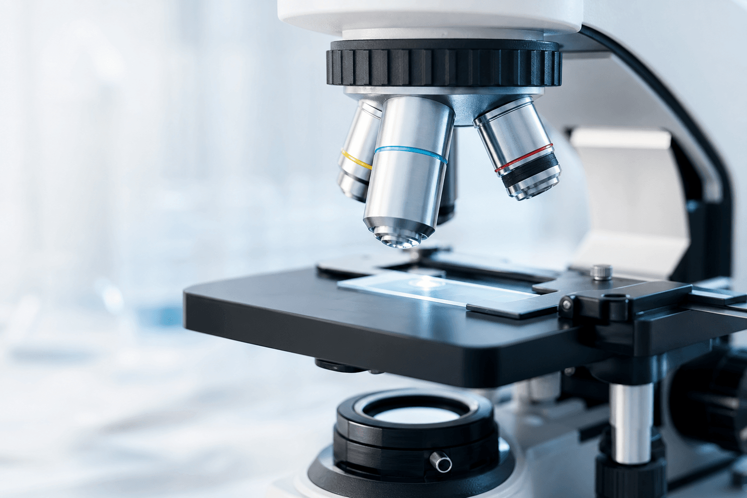 Different Types of Leukemia Stem Cells May Affect Treatment