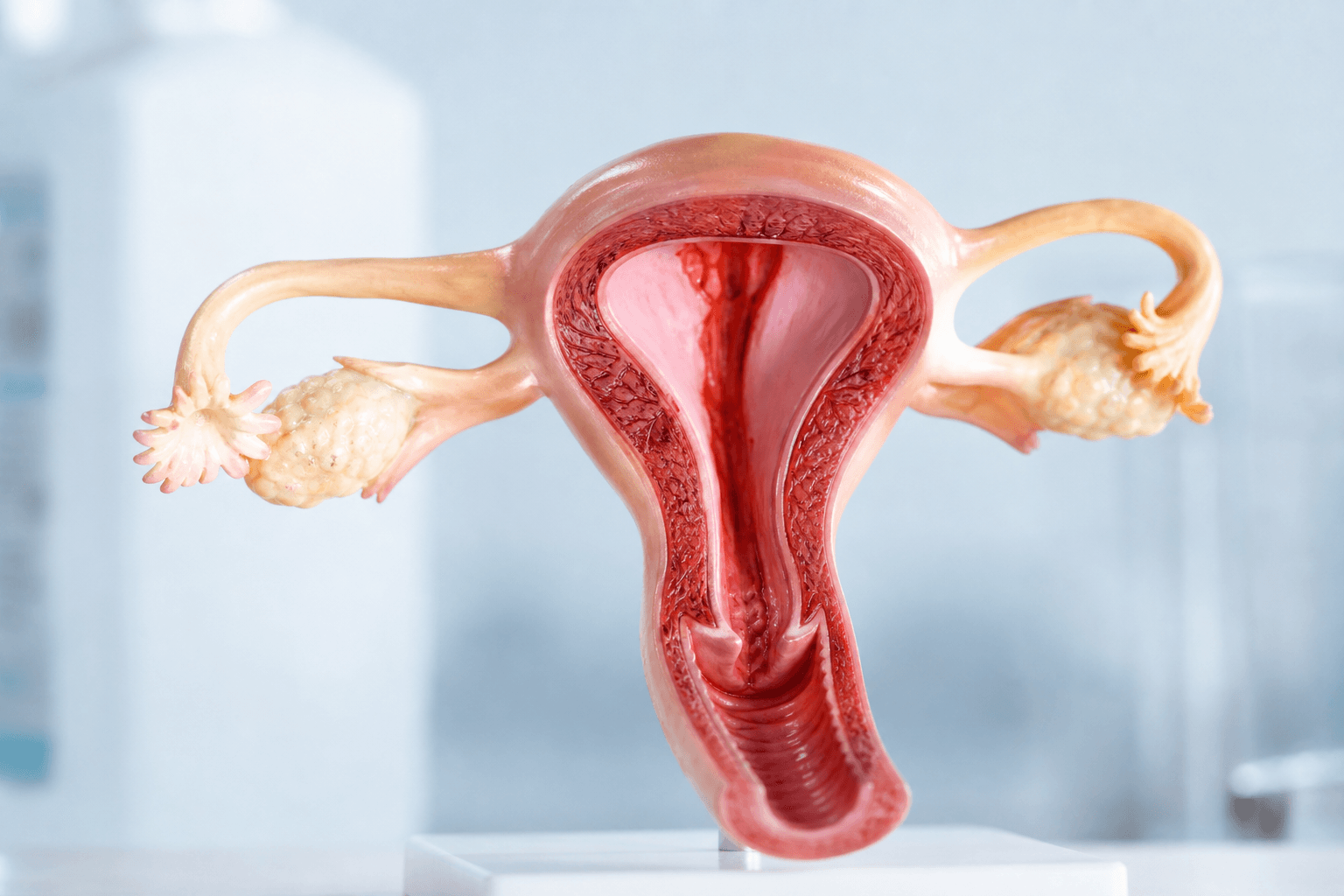 Combining Pembrolizumab With Chemotherapy May Help Endometrial Cancer Patients Live Longer